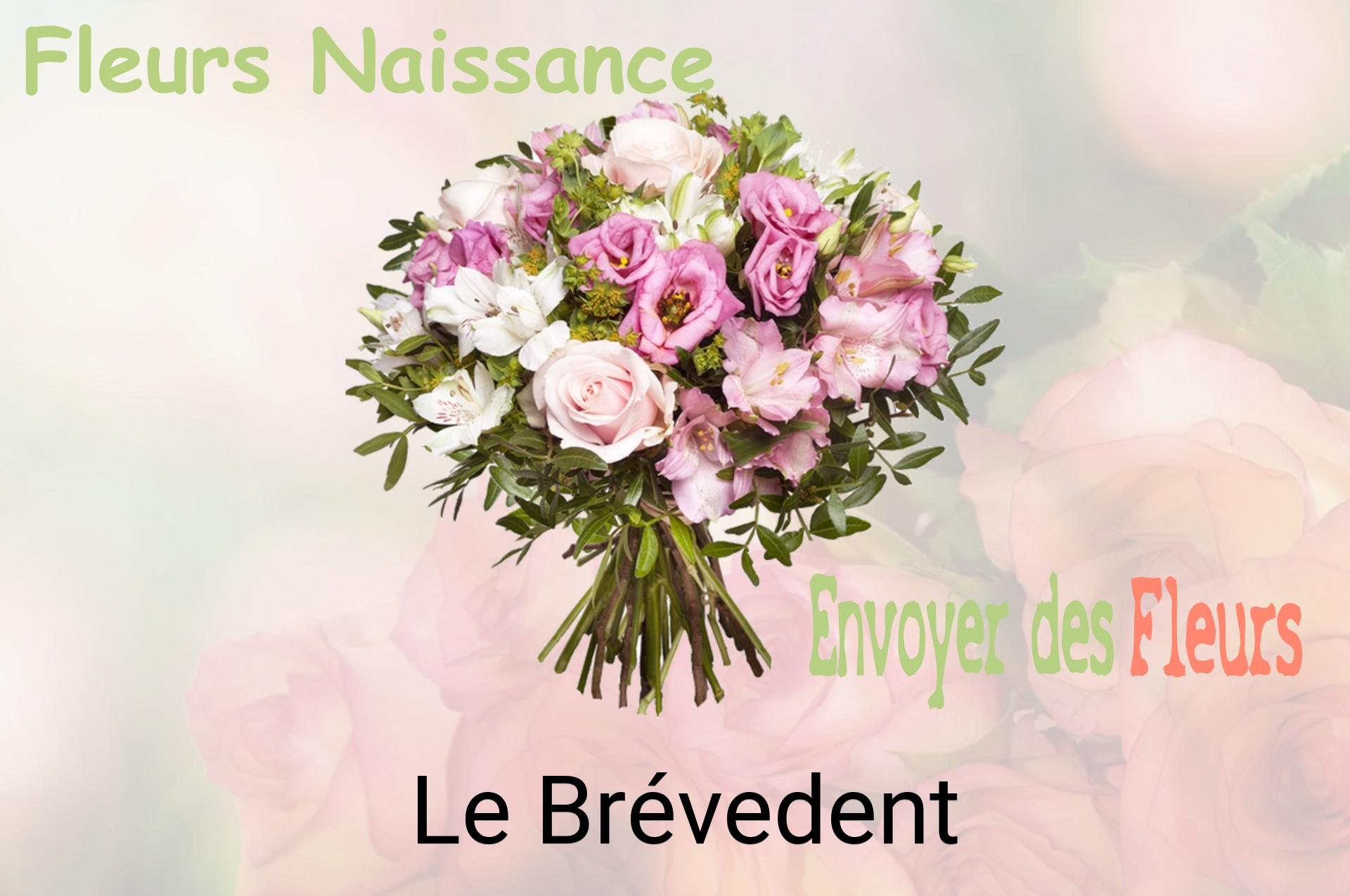 Bouquet de fleurs de naissance livré à Le Brévedent