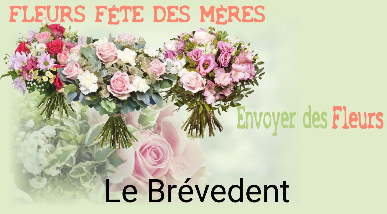 Bouquet de Fête des Mères livré à Le Brévedent